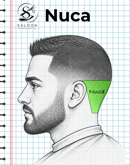 La nuca es el área inferior posterior de la cabeza.