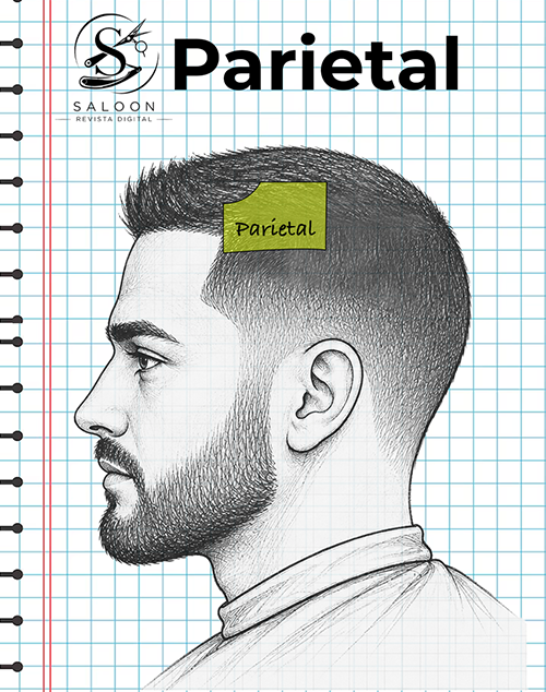 Parietal
